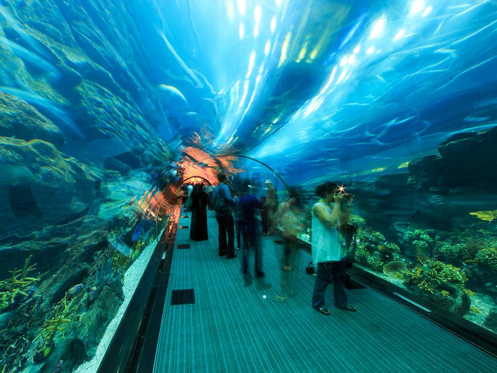dubaiaquariumunderwaterzoo Dubai