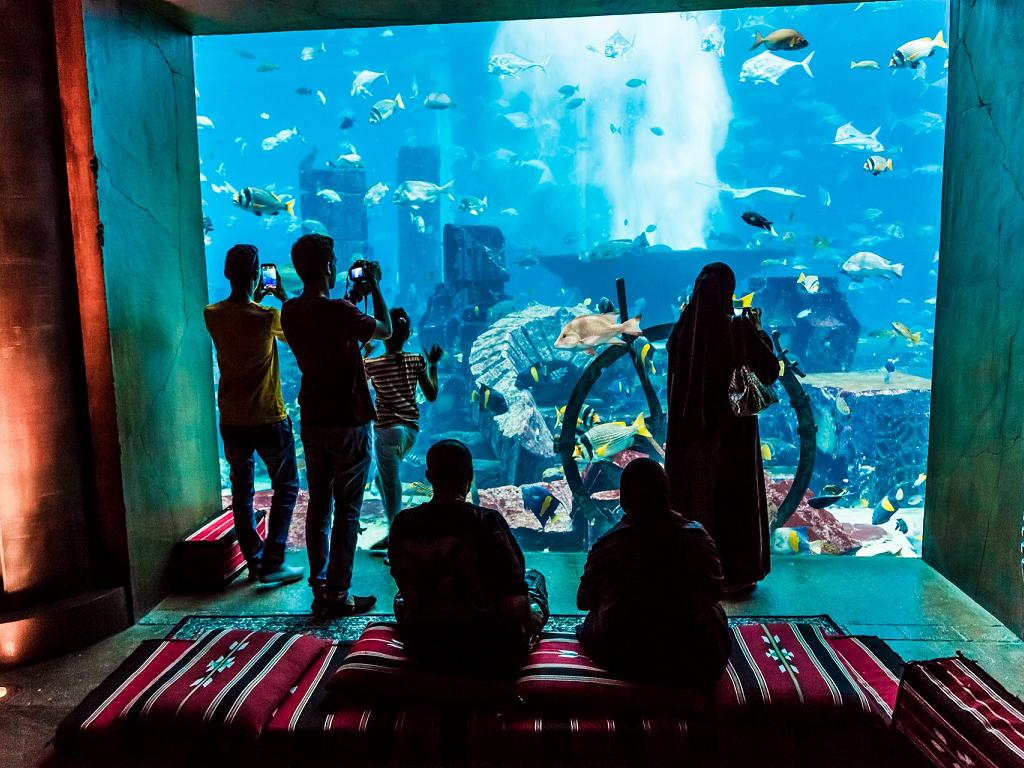 The Lost Chambers Aquarium