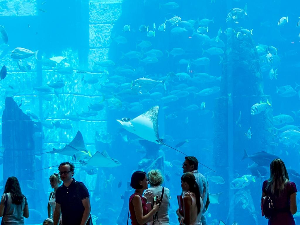 Ambassador Lagoon im Atlantis The Palm