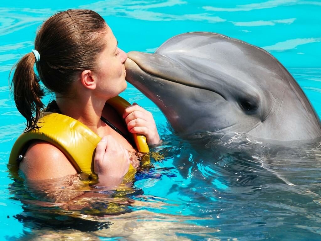 atlantis-the-palm-dubai-dolphin-bay Dolpin Bay im Atlantis The Palm