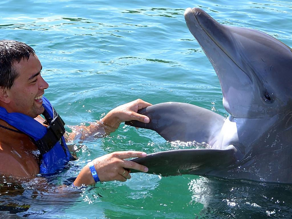 Dolphin Bay im Atlantis The Palm Hotel Dubai