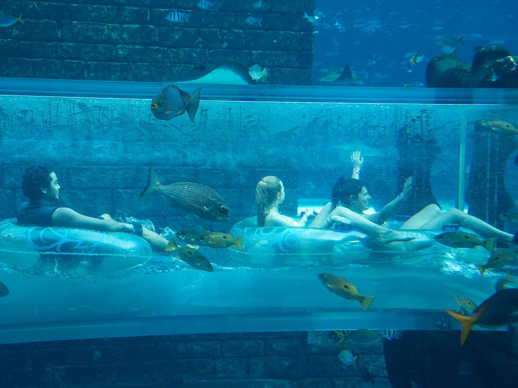 Aquaventure Dubai Röhrentunnel