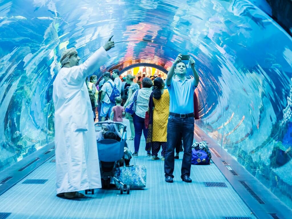 Dubai Aquarium Glastunnel