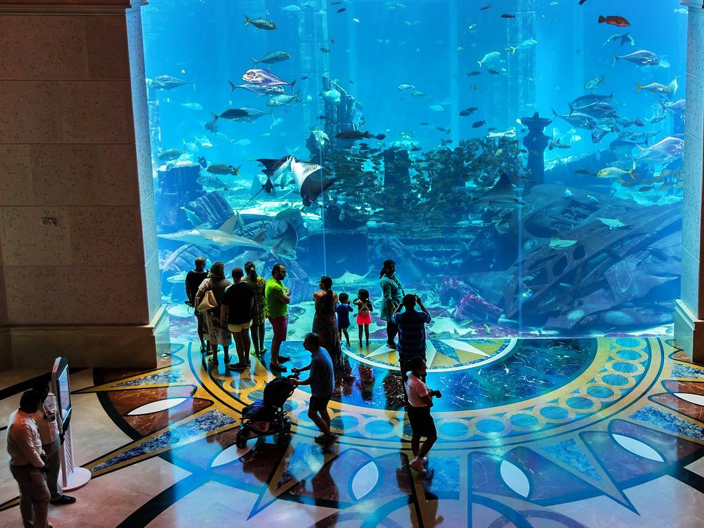 Dubai Lost Chambers Aquarium