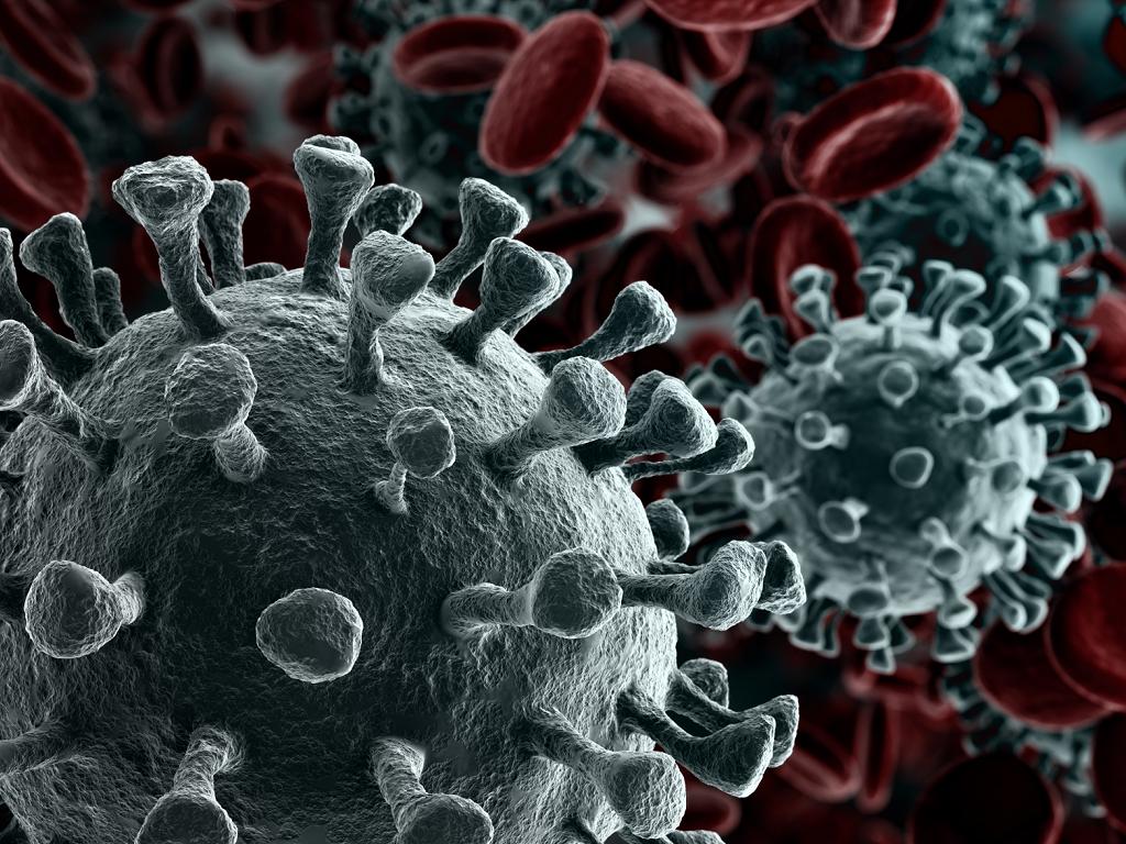 Coronavirus COVID-19